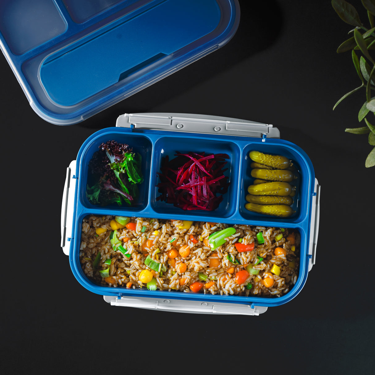 Royalford 1000 ml Lunch Box with Cutlery- RF12595/ Rectangle Tiffin with Transparent Lid, Spoon and 4 Compartments/ Plastic, for Kids and Adults for Schools and Offices