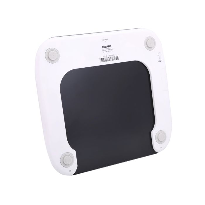 GBS4219 Digital Weighing Scale with LCD Display