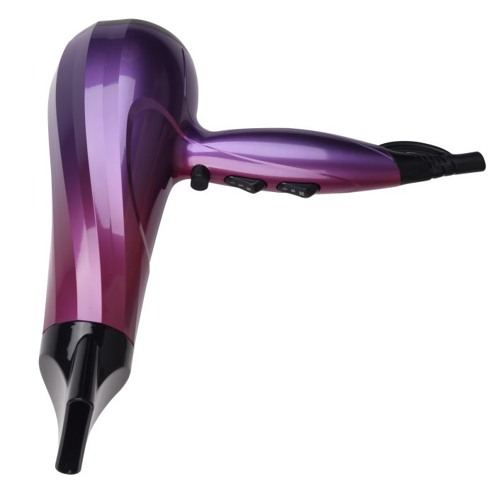 2400 Watt Hair Dryer with 2 Speed Control