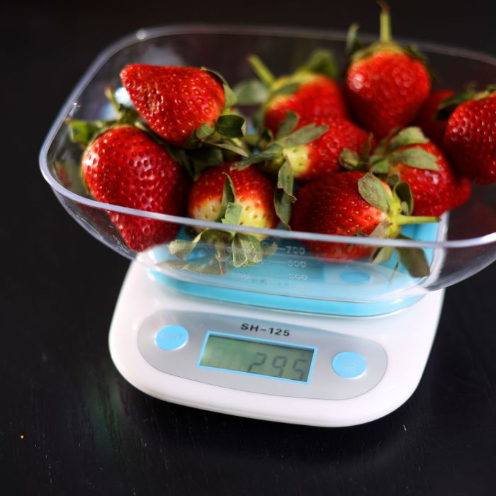 Digital Kitchen Scale RF9515