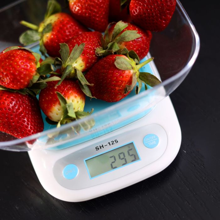 Digital Kitchen Scale RF9515