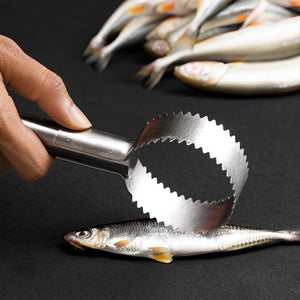 Royalford RF12454 Fish Scale Scraper| stainless steel descaler with ergonomic handle ensures safe| efficient scale removal, dishwasher-safe, easy to clean tool|