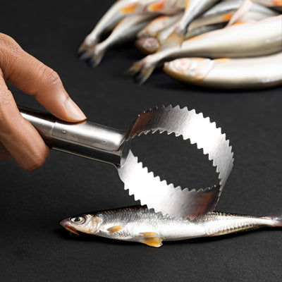 Royalford RF12454 Fish Scale Scraper| stainless steel descaler with ergonomic handle ensures safe| efficient scale removal, dishwasher-safe, easy to clean tool|