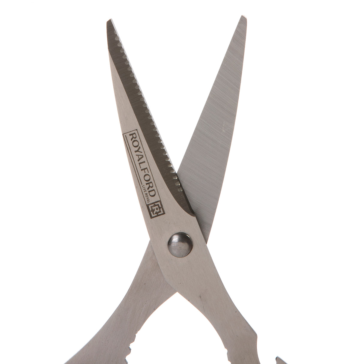 Royalford RF491S 3-in-1 Kitchen Scissors| stainless steel blades offers cutting, nut cracking, and bottle opening functions| ergonomic grip and hygienic design|