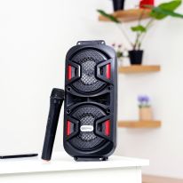 Rechargeable Portable Speaker GMS11187